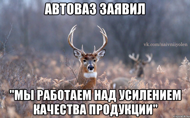 Автоваз заявил "Мы работаем над усилением качества продукции", Мем   Наивный олень