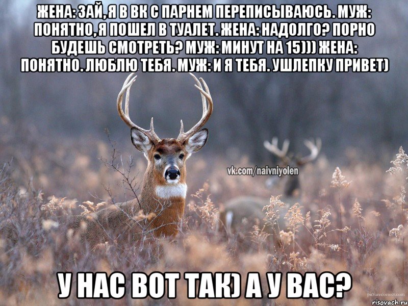 Жена: Зай, я в ВК с парнем переписываюсь. Муж: Понятно, я пошел в туалет. Жена: Надолго? Порно будешь смотреть? Муж: Минут на 15))) Жена: Понятно. Люблю тебя. Муж: И я тебя. Ушлепку привет) У нас вот так) А у вас?, Мем   Наивный олень