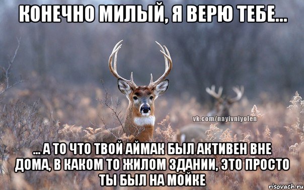 Конечно милый, я верю тебе... ... А то что твой аймак был активен вне дома, в каком то жилом здании, это просто ты был на мойке, Мем   Наивный олень