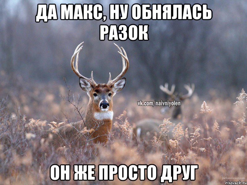 Да Макс, ну обнялась разок он же просто друг, Мем   Наивный олень