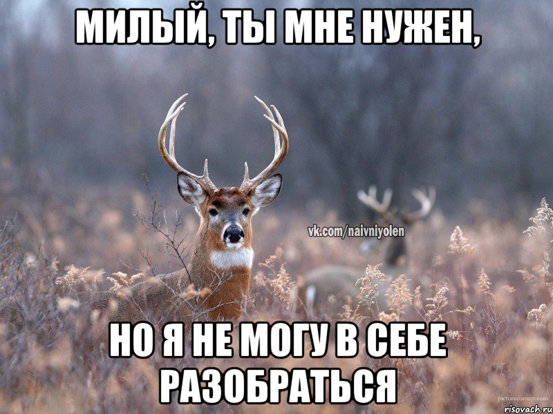 Милый, ты мне нужен, Но я не могу в себе разобраться