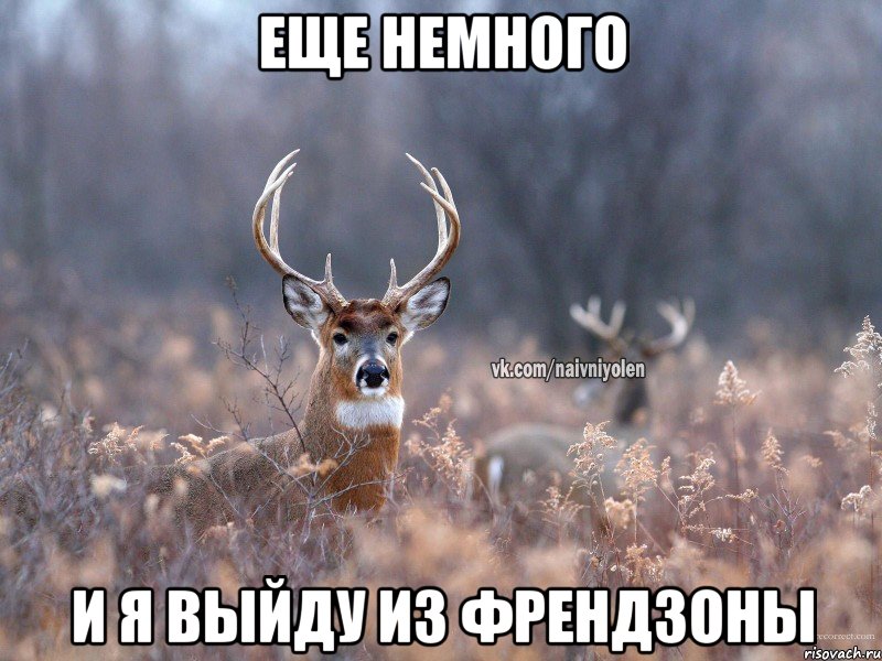 Еще немного и я выйду из френдзоны