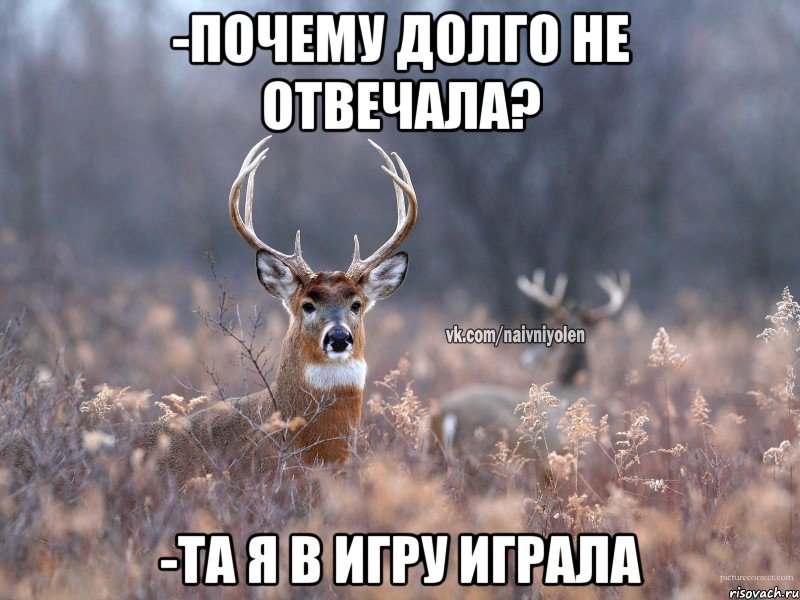 -почему долго не отвечала? -та я в игру играла, Мем   Наивный олень