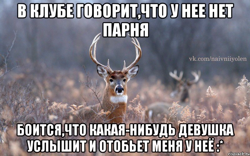 В клубе говорит,что у нее нет парня боится,что какая-нибудь девушка услышит и отобьет меня у неё :*, Мем   Наивный олень