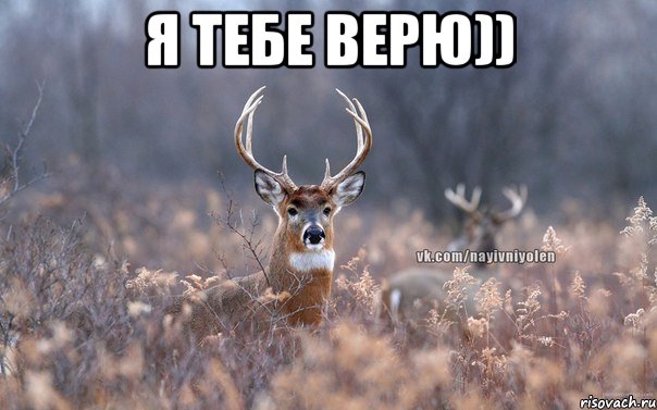 я тебе верю)) , Мем   Наивный олень