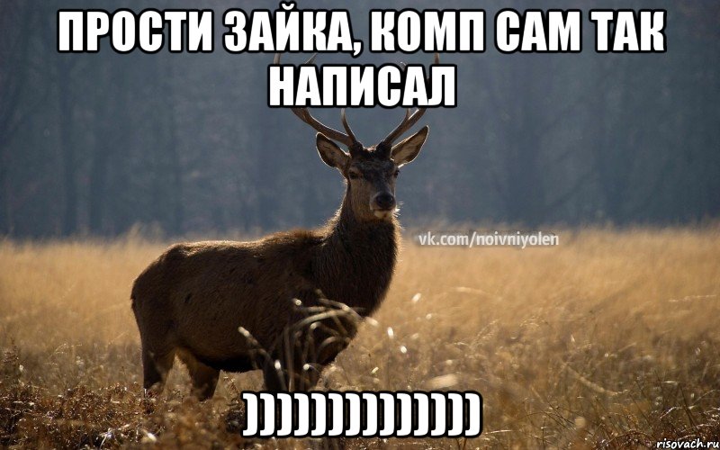 прости зайка, комп сам так написал )))))))))))))), Мем Наивный Олень vk2
