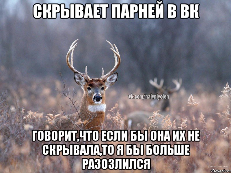 СКРЫВАЕТ ПАРНЕЙ В ВК ГОВОРИТ,ЧТО ЕСЛИ БЫ ОНА ИХ НЕ СКРЫВАЛА,ТО Я БЫ БОЛЬШЕ РАЗОЗЛИЛСЯ