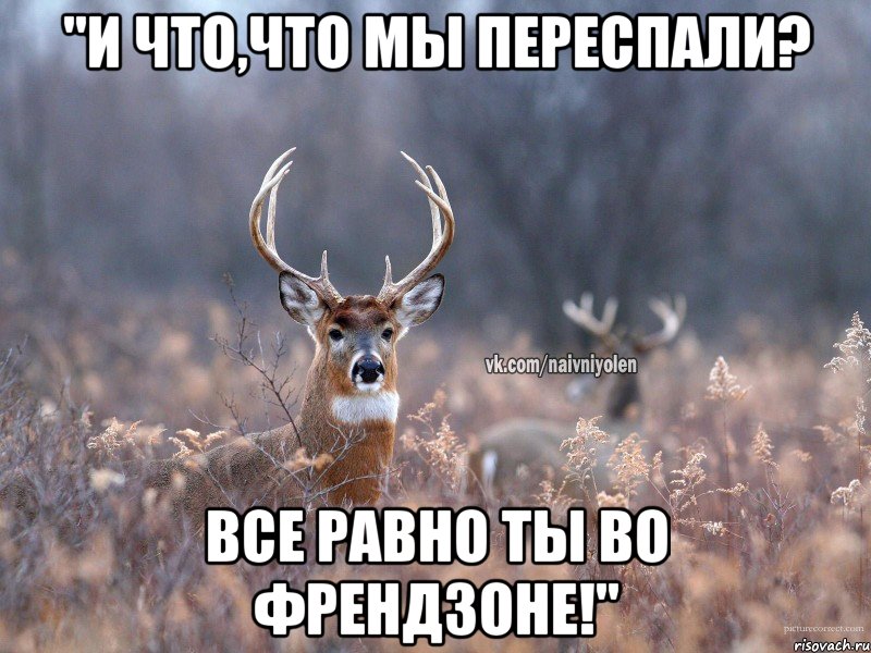 "И что,что мы переспали? Все равно ты во френдзоне!", Мем   Наивный олень