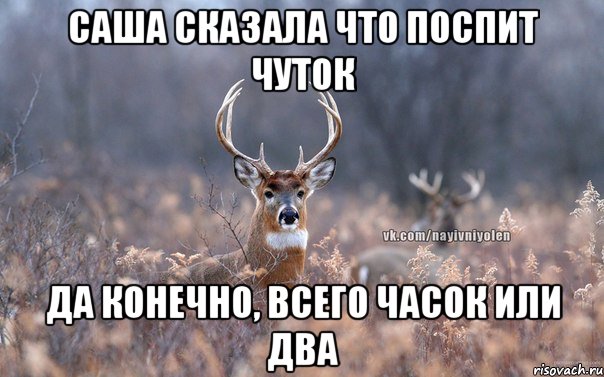 САША СКАЗАЛА ЧТО ПОСПИТ ЧУТОК ДА КОНЕЧНО, ВСЕГО ЧАСОК ИЛИ ДВА, Мем   Наивный олень