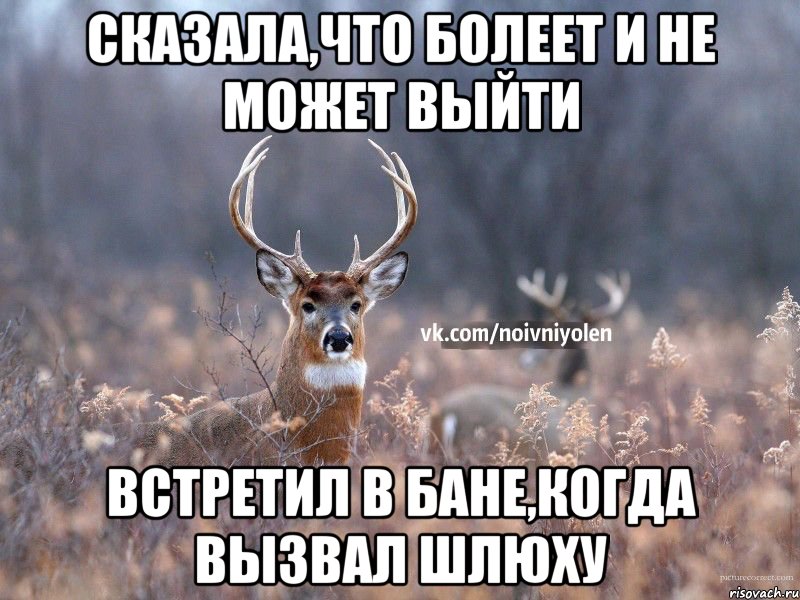 Сказала,что болеет и не может выйти Встретил в бане,когда вызвал шлюху, Мем Наивный Олень vk