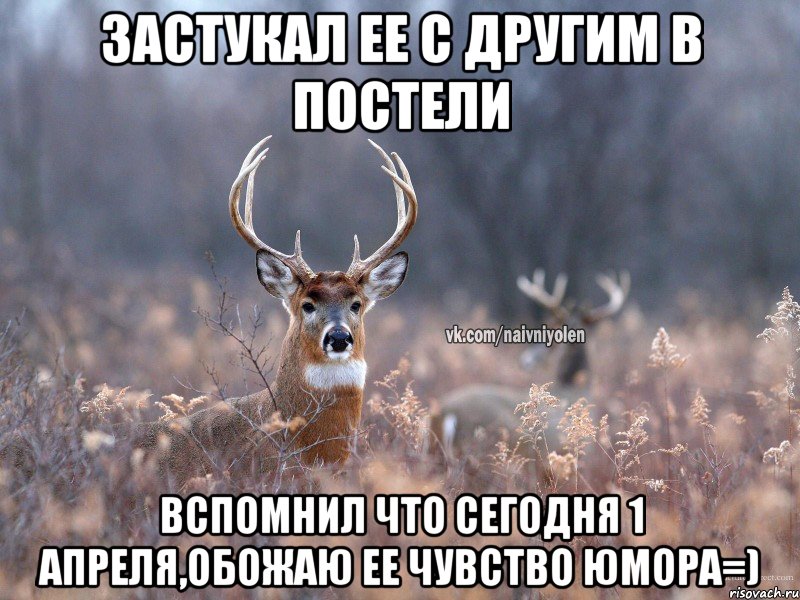 Застукал ее с другим в постели Вспомнил что сегодня 1 апреля,обожаю ее чувство юмора=), Мем   Наивный олень