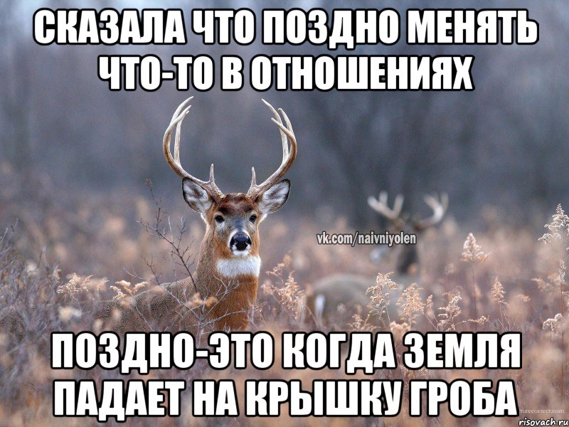 сказала что поздно менять что-то в отношениях поздно-это когда земля падает на крышку гроба, Мем   Наивный олень