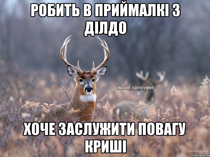 Робить в приймалкі з ділдо Хоче заслужити повагу криші, Мем   Наивный олень