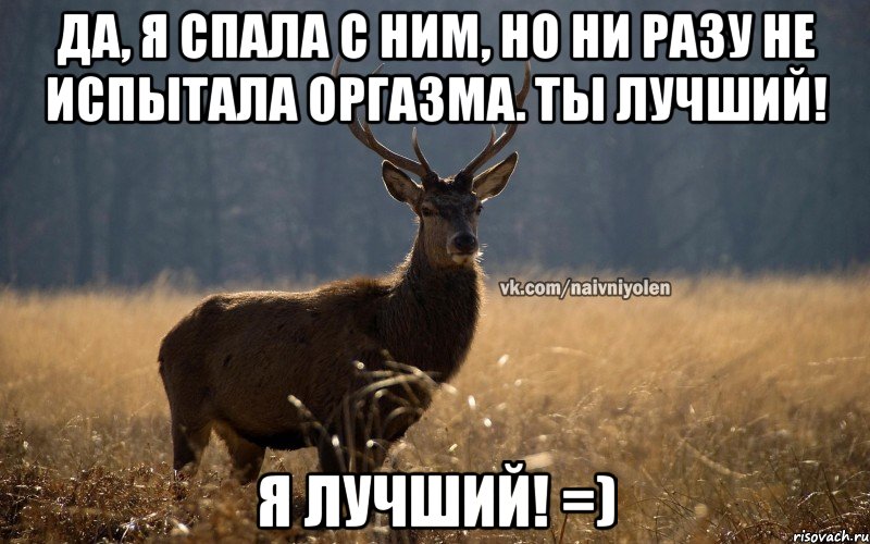 Да, я спала с ним, но ни разу не испытала оргазма. Ты лучший! Я лучший! =), Мем Наивный Олень vk2