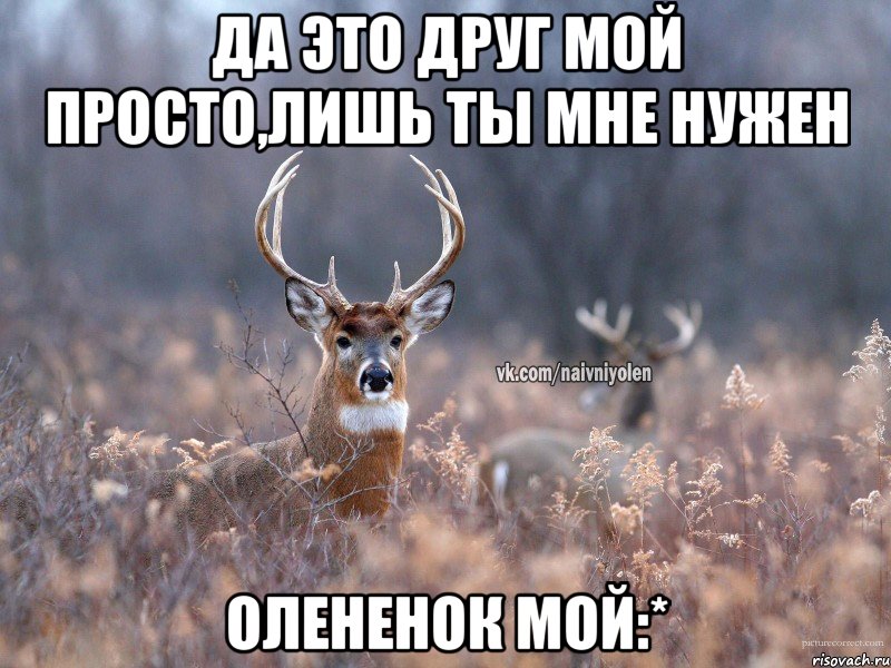 Да это друг мой просто,лишь ты мне нужен олененок мой:*, Мем   Наивный олень