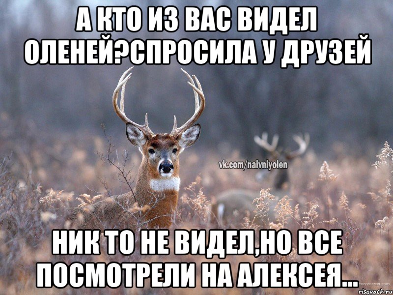 а кто из вас видел оленей?спросила у друзей ник то не видел,но все посмотрели на Алексея...