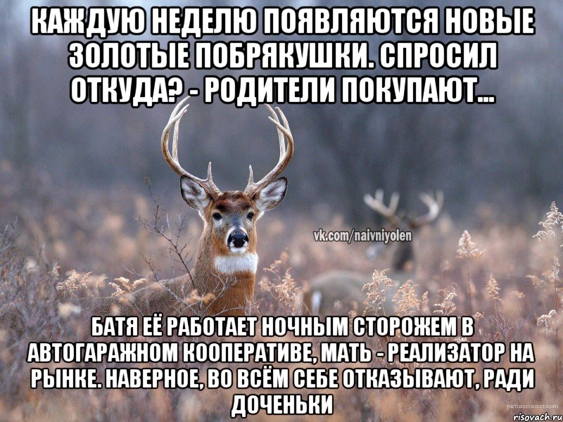 Каждую неделю появляются новые золотые побрякушки. Спросил откуда? - Родители покупают... Батя её работает ночным сторожем в автогаражном кооперативе, мать - реализатор на рынке. Наверное, во всём себе отказывают, ради доченьки, Мем   Наивный олень