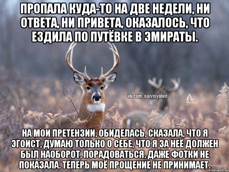 Пропала куда-то на две недели, ни ответа, ни привета, оказалось, что ездила по путёвке в Эмираты. На мои претензии, обиделась, сказала, что я эгоист, думаю только о себе, что я за неё должен был наоборот, порадоваться. Даже фотки не показала. Теперь моё прощение не принимает., Мем   Наивный олень