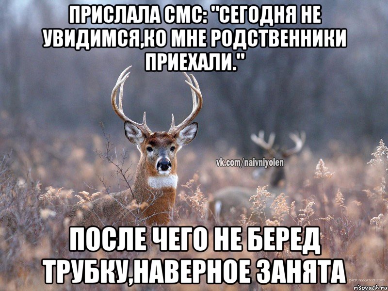 Прислала смс: "Сегодня не увидимся,ко мне родственники приехали." после чего не беред трубку,наверное занята, Мем   Наивный олень