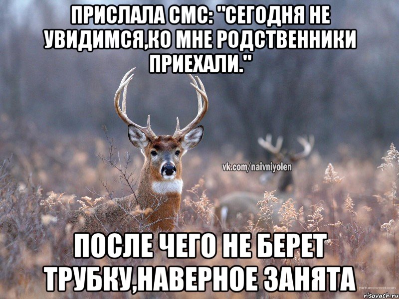 Прислала смс: "Сегодня не увидимся,ко мне родственники приехали." после чего не берет трубку,наверное занята, Мем   Наивный олень