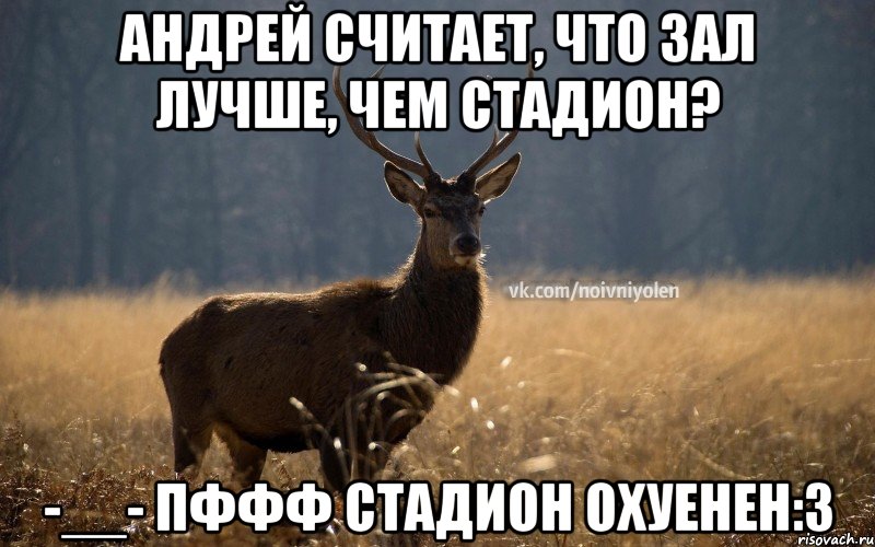 Андрей считает, что зал лучше, чем стадион? -__- пффф СТАДИОН ОХУЕНЕН:3, Мем Наивный Олень vk2