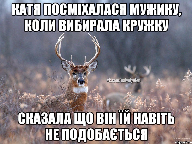 Катя посміхалася мужику, коли вибирала кружку Сказала що він їй навіть не подобається, Мем   Наивный олень