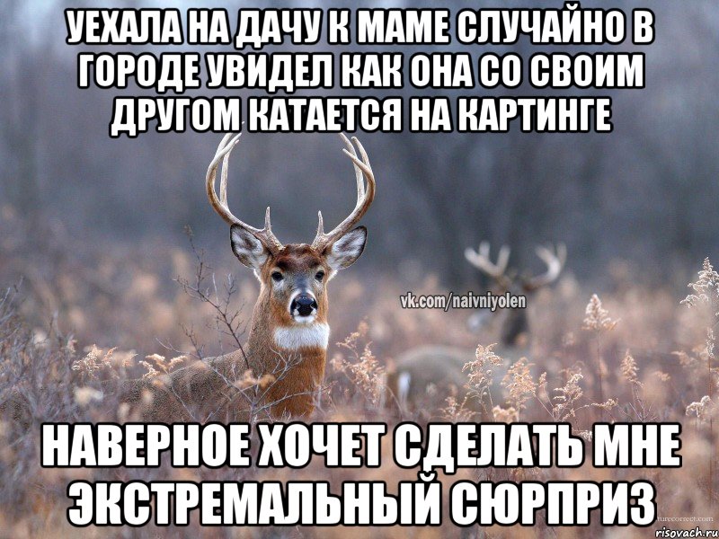 Уехала на дачу к маме Случайно в городе увидел как она со своим другом катается на картинге Наверное хочет сделать мне экстремальный сюрприз, Мем   Наивный олень