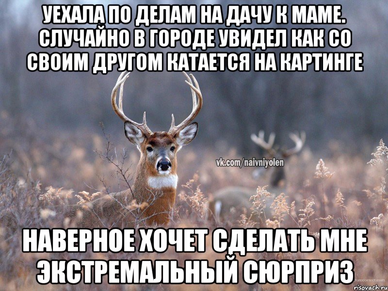 Уехала по делам на дачу к маме. Случайно в городе увидел как со своим другом катается на картинге Наверное хочет сделать мне экстремальный сюрприз, Мем   Наивный олень