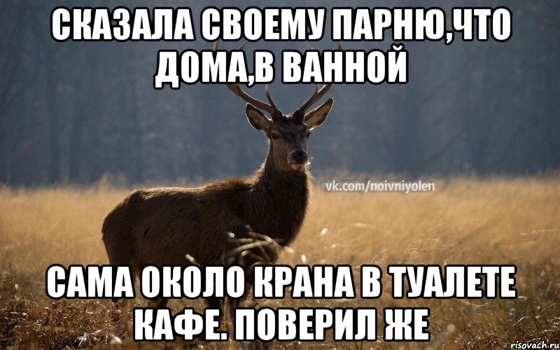 Сказала своему парню,что дома,в ванной Сама около крана в туалете кафе. Поверил же, Мем Наивный Олень vk2