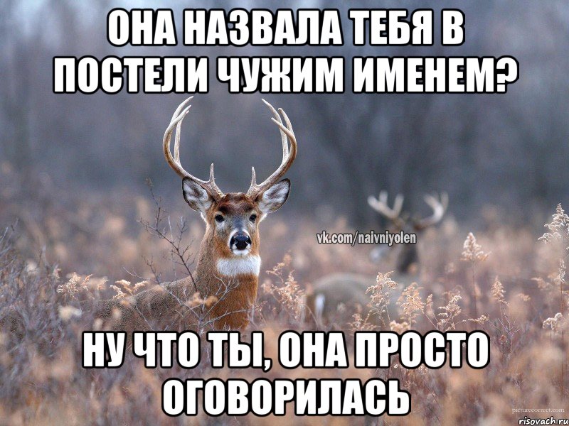 Она назвала тебя в постели чужим именем? Ну что ты, она просто оговорилась, Мем   Наивный олень