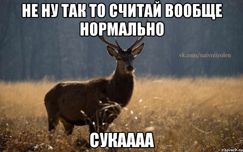 не ну так то считай вообще нормально сукаааа, Мем Наивный Олень vk2