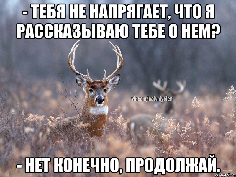 - Тебя не напрягает, что я рассказываю тебе о нем? - Нет конечно, продолжай.