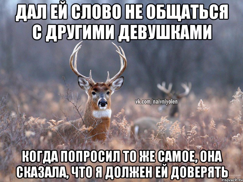 Дал ей слово не общаться с другими девушками когда попросил то же самое, она сказала, что я должен ей доверять, Мем   Наивный олень