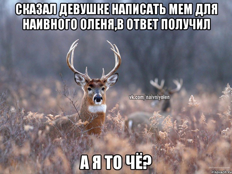 Сказал девушке написать мем для наивного оленя,в ответ получил а я то чё?, Мем   Наивный олень