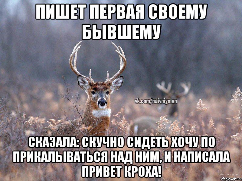 пишет первая своему бывшему сказала: скучно сидеть хочу по прикалываться над ним, и написала привет кроха!, Мем   Наивный олень