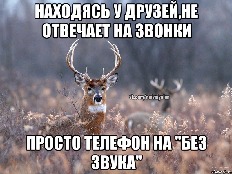 Находясь у друзей,не отвечает на звонки Просто телефон на "без звука", Мем   Наивный олень