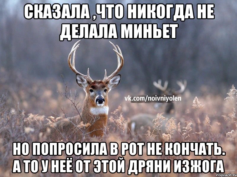 сказала ,что никогда не делала миньет но попросила в рот не кончать. а то у неё от этой дряни изжога, Мем Наивный Олень vk