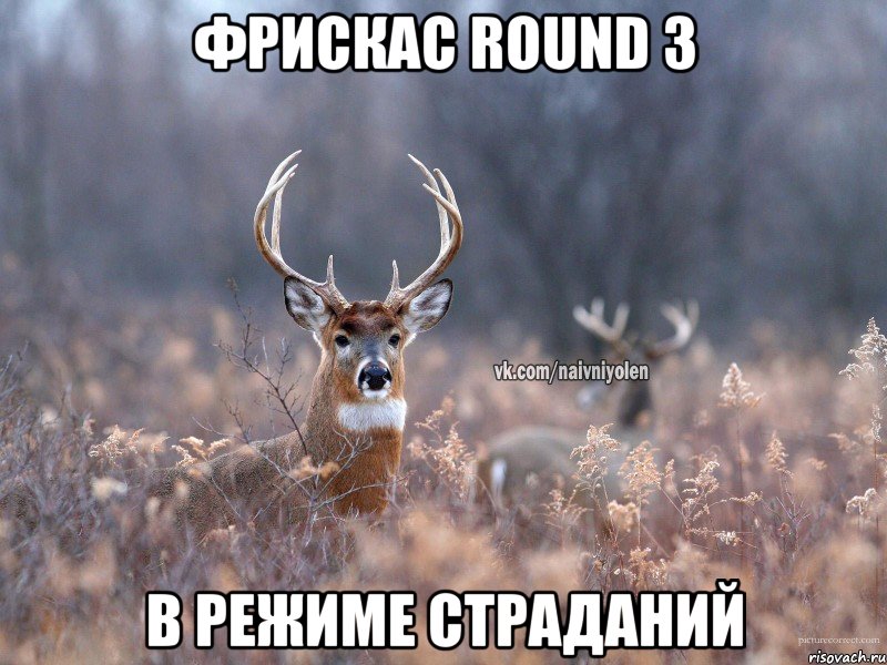 Фрискас Round 3 В режиме страданий, Мем   Наивный олень