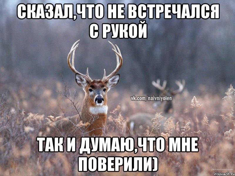 Сказал,что не встречался с рукой так и думаю,что мне поверили), Мем   Наивный олень