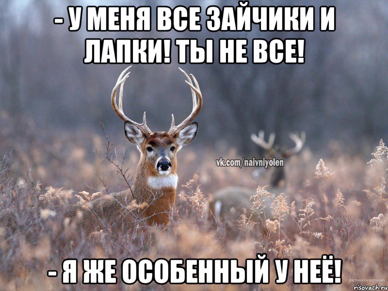 - У меня все зайчики и лапки! Ты не все! - Я же особенный у неё!, Мем   Наивный олень