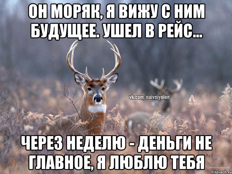 Он моряк, я вижу с ним будущее. Ушел в рейс... Через неделю - Деньги не главное, я люблю тебя, Мем   Наивный олень