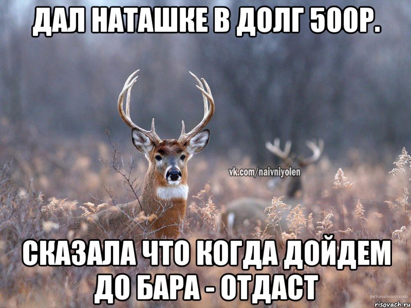 Дал Наташке в долг 500р. Сказала что когда дойдем до бара - отдаст, Мем   Наивный олень