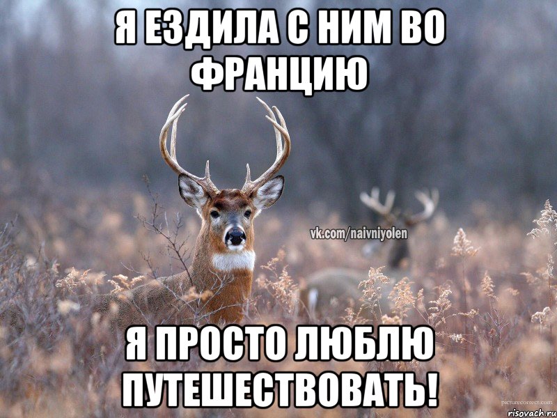 Я ЕЗДИЛА С НИМ ВО ФРАНЦИЮ Я ПРОСТО ЛЮБЛЮ ПУТЕШЕСТВОВАТЬ!, Мем   Наивный олень