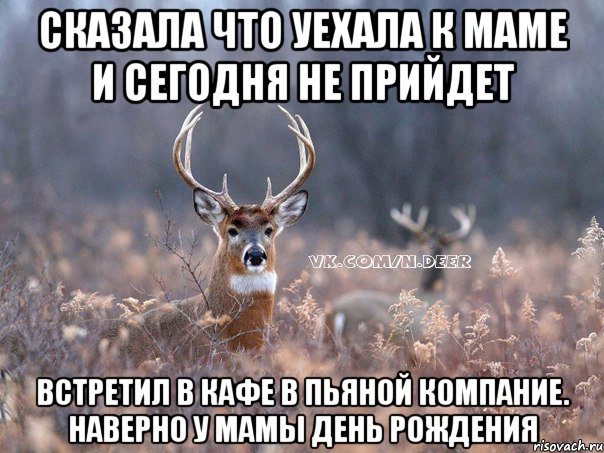 Сказала что уехала к маме и сегодня не прийдет Встретил в кафе в пьяной компание. Наверно у мамы день рождения, Мем   Наивный олень