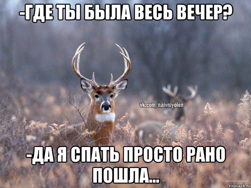 -Где ты была весь вечер? -Да я спать просто рано пошла..., Мем   Наивный олень