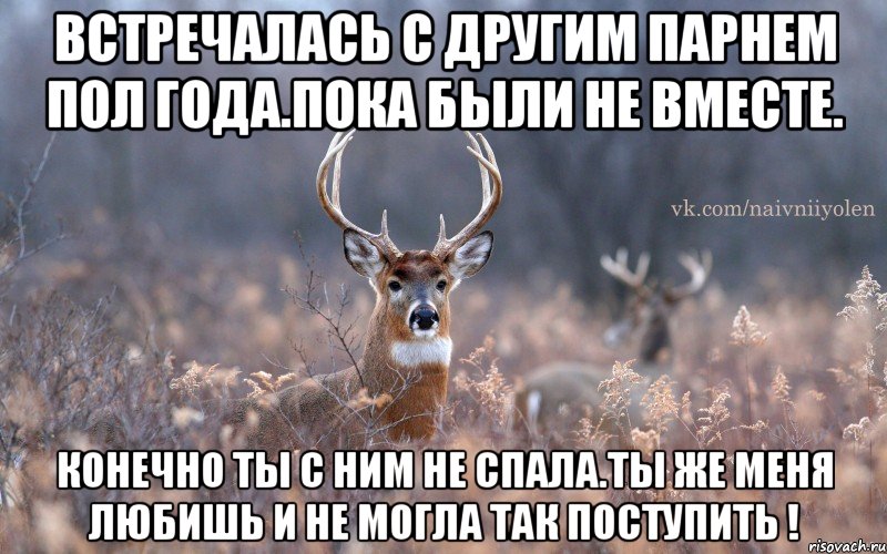 Встречалась с другим парнем пол года.пока были не вместе. конечно ты с ним не спала.ты же меня любишь и не могла так поступить !, Мем   Наивный олень