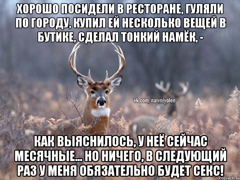 Хорошо посидели в ресторане, гуляли по городу, купил ей несколько вещей в бутике, сделал тонкий намёк, - Как выяснилось, у неё сейчас месячные... Но ничего, в следующий раз у меня обязательно будет секс!, Мем   Наивный олень