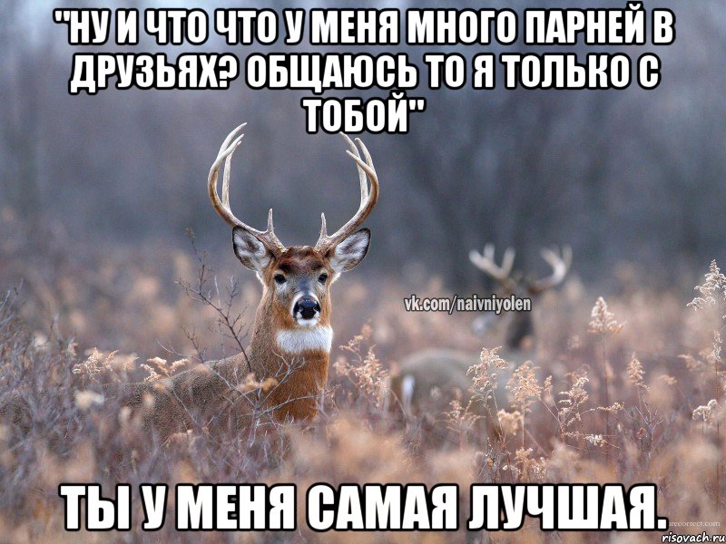 "Ну и что что у меня много парней в друзьях? Общаюсь то я только с тобой" Ты у меня самая лучшая., Мем   Наивный олень