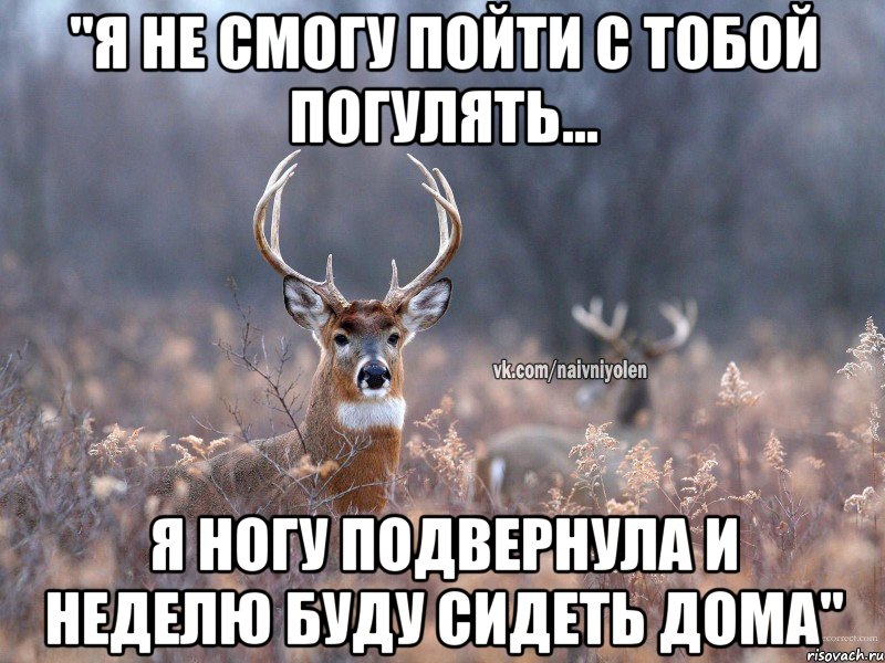 "Я не смогу пойти с тобой погулять... я ногу подвернула и неделю буду сидеть дома", Мем   Наивный олень