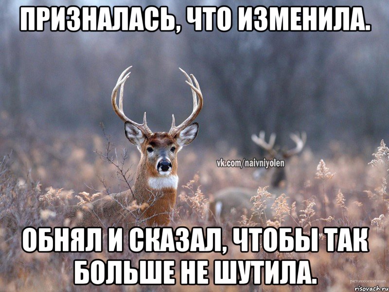 Призналась, что изменила. Обнял и сказал, чтобы так больше не шутила., Мем   Наивный олень